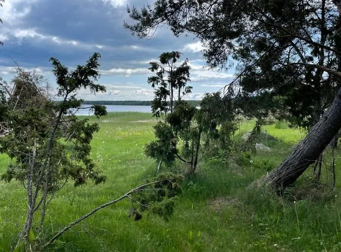 Dagoe Berry Suvemaja HIIUMAA