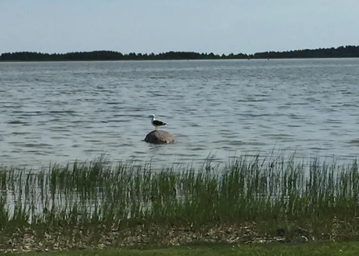 Dagoe Berry Suvemaja 度假居